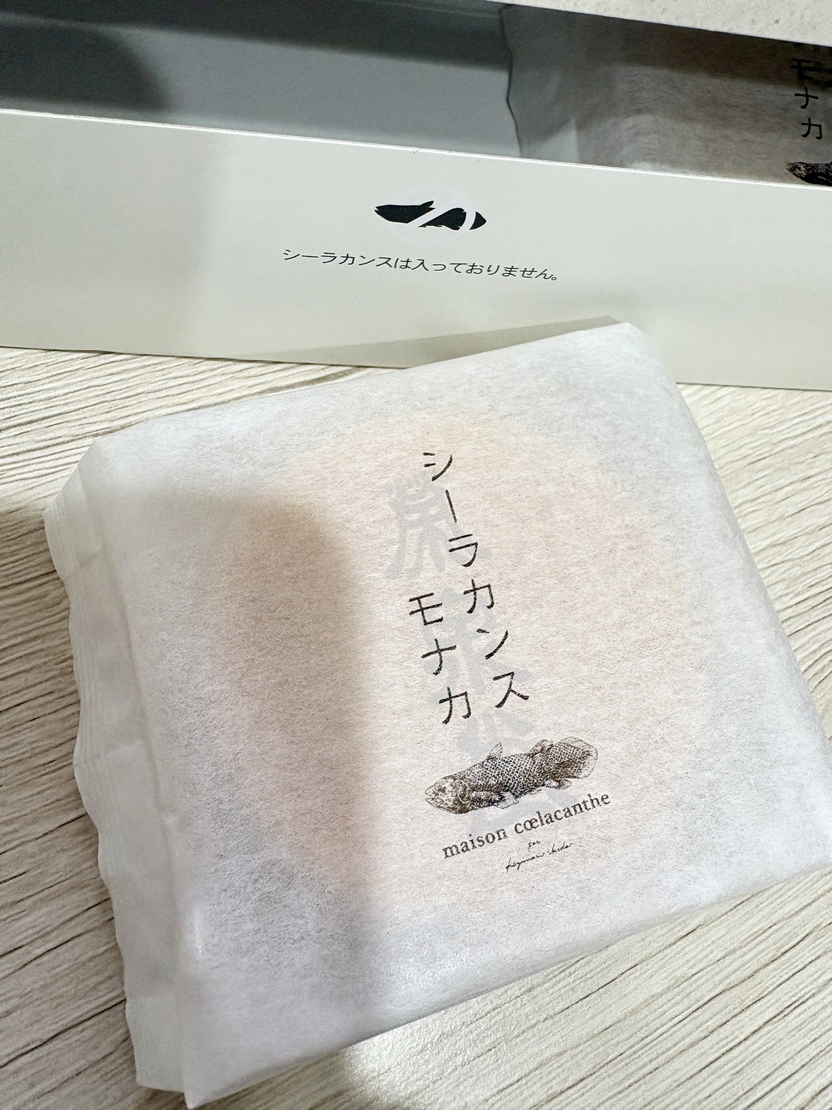 シーラカンス